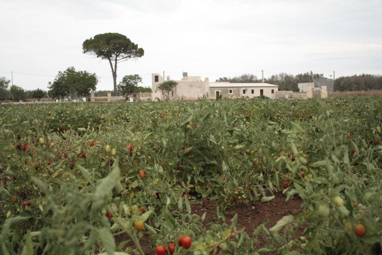 לינה וארוחת בוקר Nardò Casina Solatia מראה חיצוני תמונה